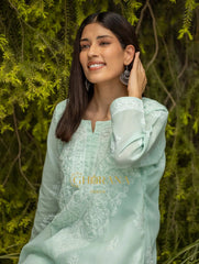 Sahiba Chikankari Pastel Green Cotton Kurta with Bakhiya work Gharana